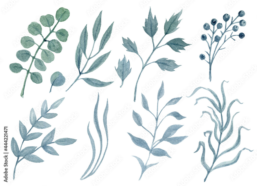 Hand drawn watercolor painting clipart with greenery branches isolated on white background. Floral greens set. Design element clip art.