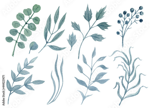 Hand drawn watercolor painting clipart with greenery branches isolated on white background. Floral greens set. Design element clip art.