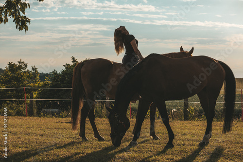 On summer evening  two horses graze inmeadow. Young athlete sits on one of horses and laughs with her head thrown back. Happiness and pleasure. Concept of love for animals. Life in nature.