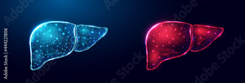Human liver. Wireframe low poly style. Concept for medical, treatment of the hepatitis.  Abstract modern 3d vector illustration on dark blue background.