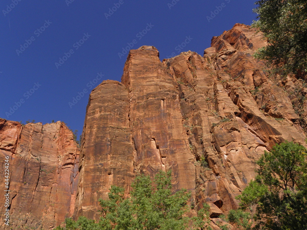 striking red rocks cliffs on a sunny summer day  in zion national park, utah