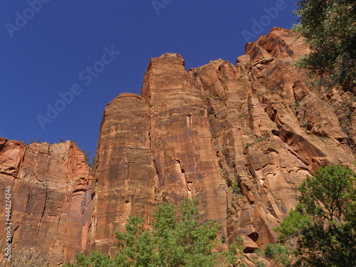 striking red rocks cliffs on a sunny summer day in zion national park, utah
