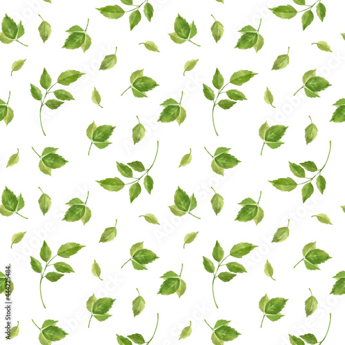 Rose leaves seamless pattern. Floral background in vintage style. Watercolor clipart.