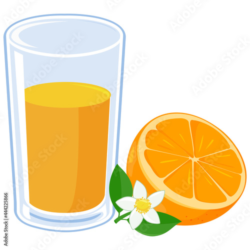 Glass of orange juice and orange fruit. Vector illustration