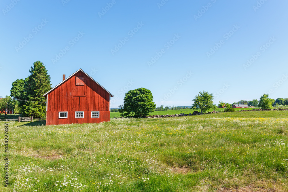 Idyllic rural landscape with a meadow at a farm