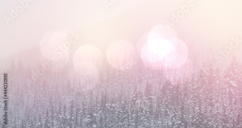 Image of landscape with winter scenery and fir tree forest covered in snow and spot lights