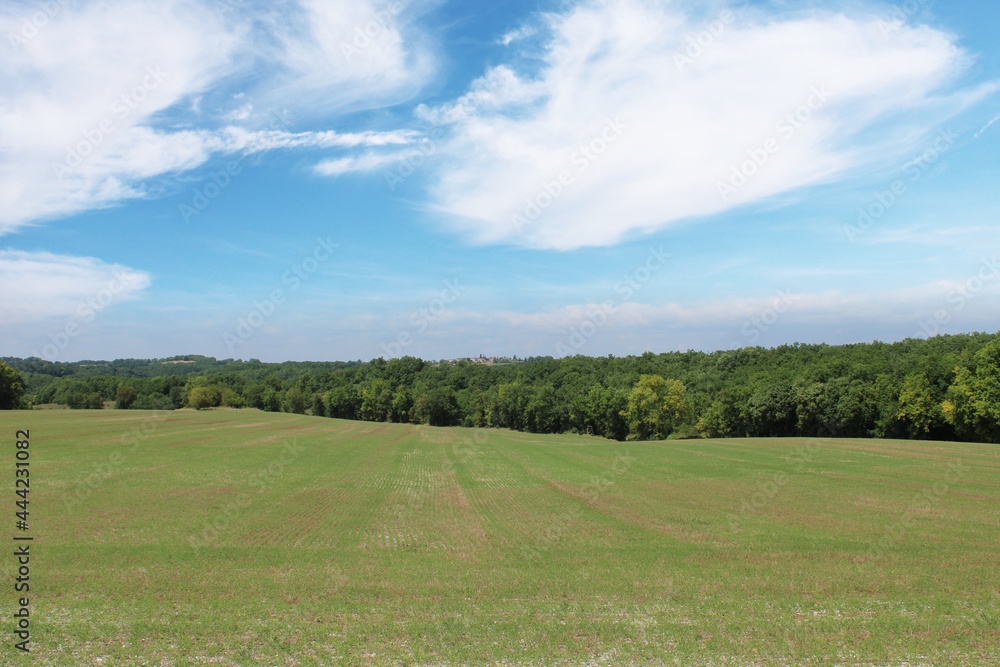 Paysage campagne, champs sous le ciel bleu, agriculture bio, sud de la France Paysage campagne, champs sous le ciel bleu, agriculture bio, sud de la France