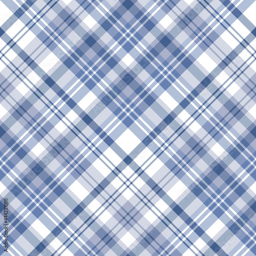 Seamless pattern in discreet blue and white colors for plaid, fabric, textile, clothes, tablecloth and other things. Vector image. 2