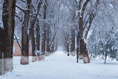 winter in the park © Руслан Агаев