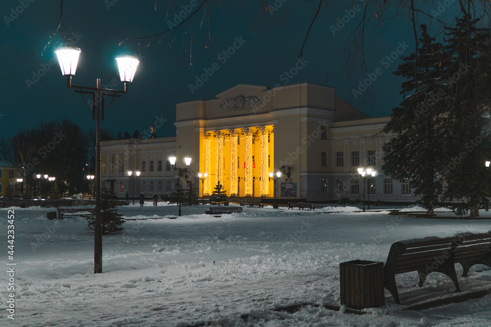 Fototapeta premium winter in the city