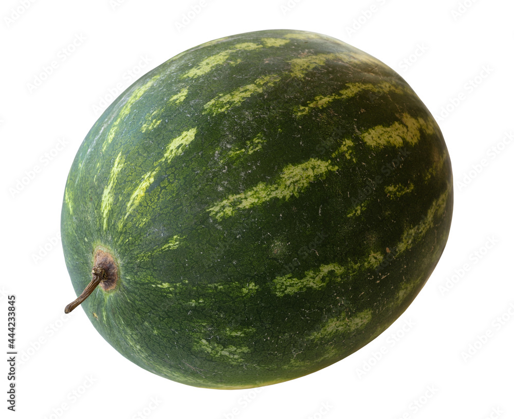 watermelon isolated on white background. Watermelon Clipping Path