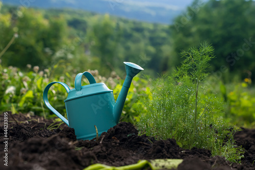 Gardening tools, watering pot on the grass in the garden. Irrigation, organic farming and spring gardening concept.