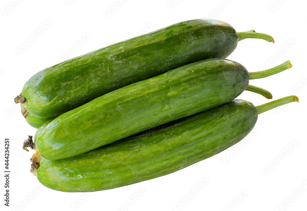 Cucumber isolated on a white background. Cucumber Clipping Path Cucumber isolated on a white background. Cucumber Clipping Path