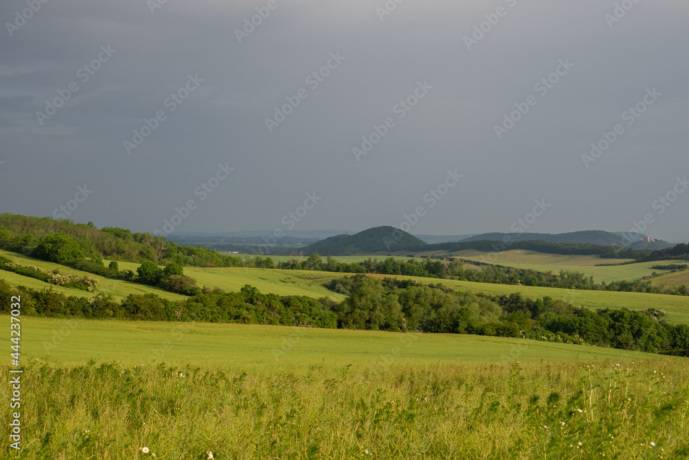 Landschaft im Sommer