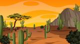 Desert forest landscape at sunset time scene with many cactuses