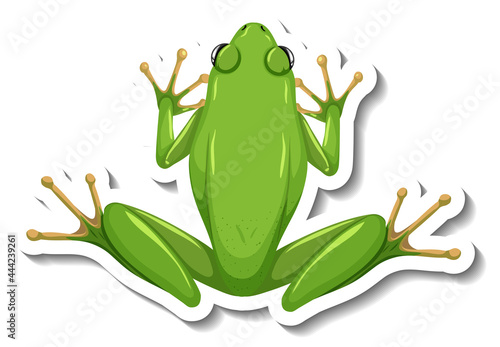 A sticker template with top view of green frog isolated