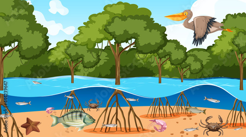 Animals live in Mangrove forest at daytime scene