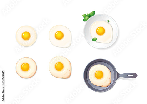 fried eggs on a white background