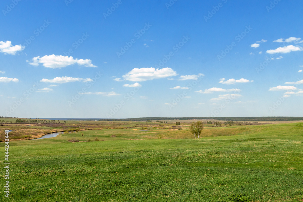 gorgeous nature landscape in summer