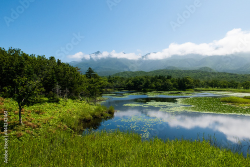 雲の写る湖と森 北海道