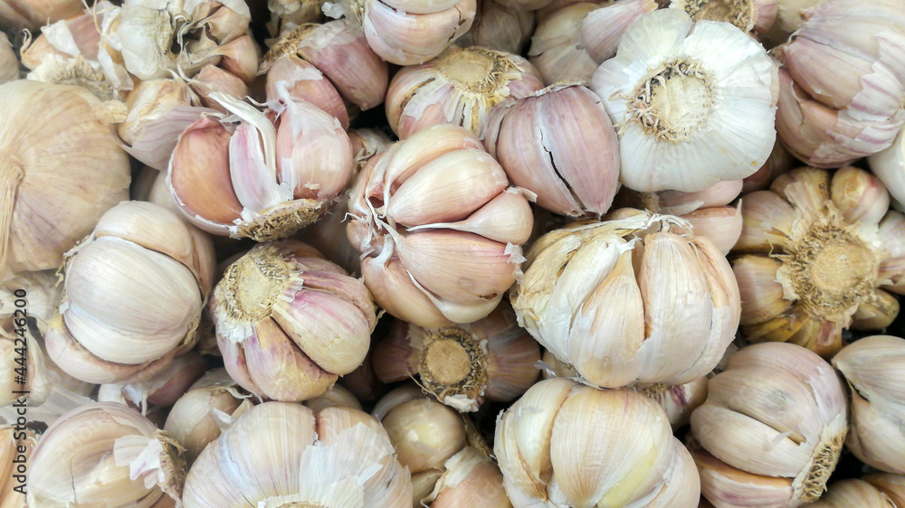 garlic on the basket in the market garlic on the basket in the market