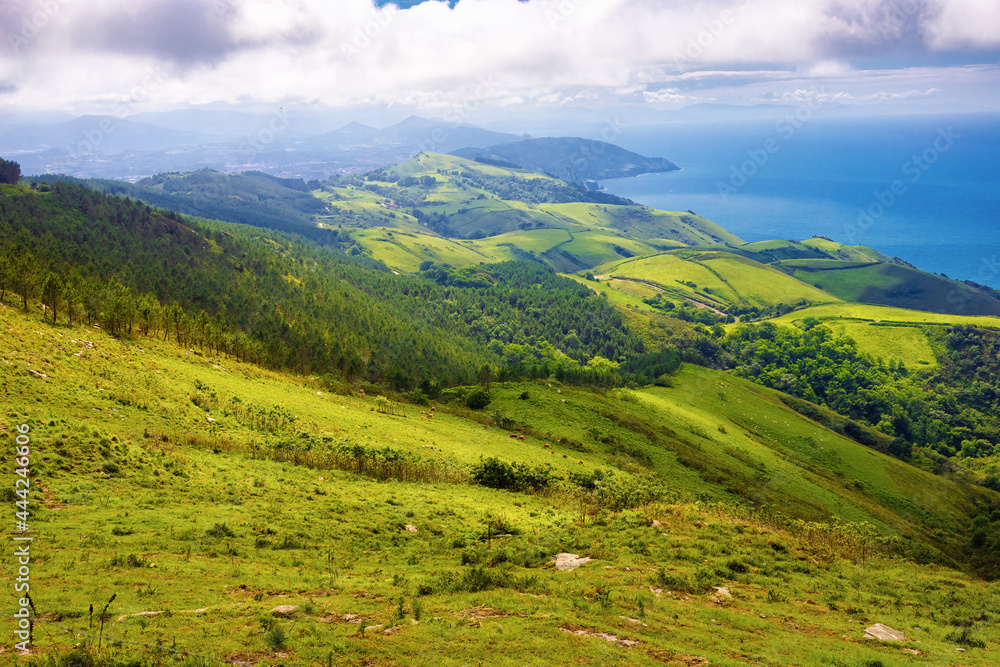Fototapeta premium Panoramic view of the slope of the Jaizkibel mountain and the coast of the mouth of the Bidasoa river, Euskadi, Spain