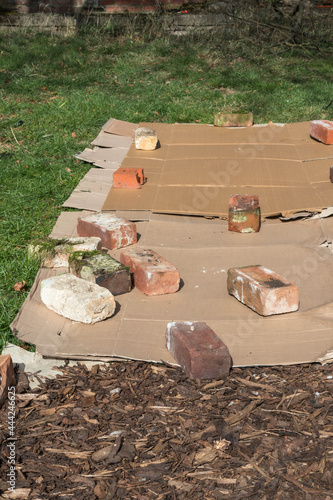 Cardboard placed on grass with old bricks on top with barck chippings to creat a new gardening or farming plant bed or path