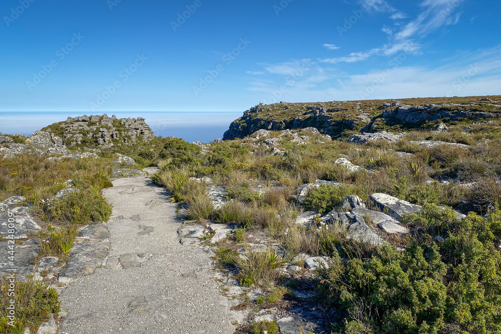 Summit top of Table Mountain, Cape Town, South Africa.