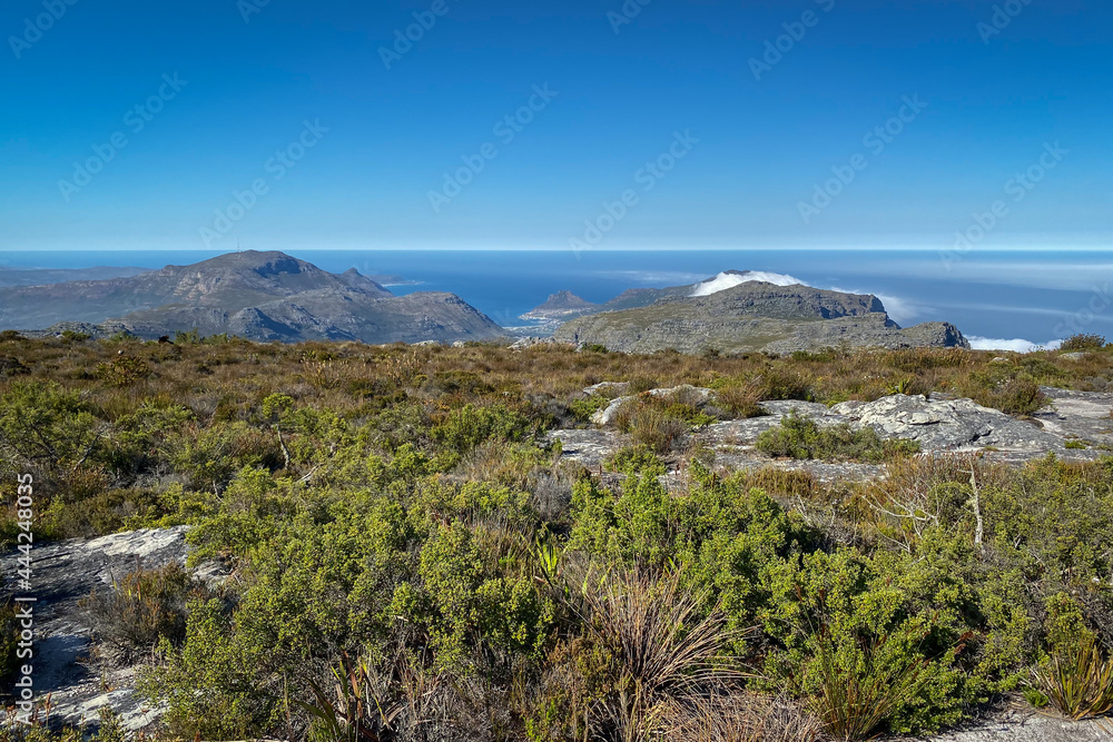 Panoramic view from top of Table Mountain to Hout Bay, Cape Town, South Africa. Panoramic view from top of Table Mountain to Hout Bay, Cape Town, South Africa.