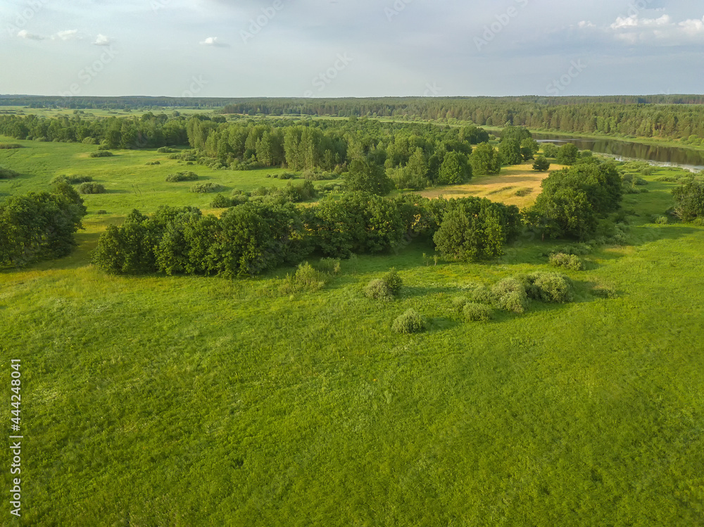 Drone view of a beautiful landscape of a green field with trees and part of the river on a sunny summer day