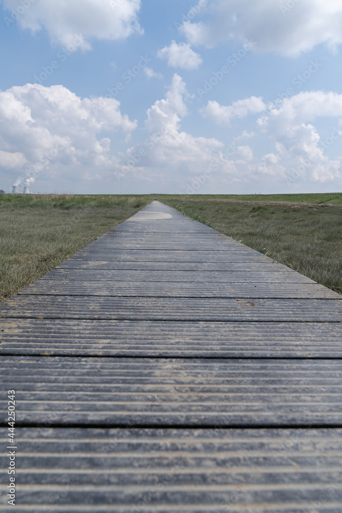 Boardwalk over the agriculture fields and nature reserve of the drowned land of Saeftinghe nature reserve