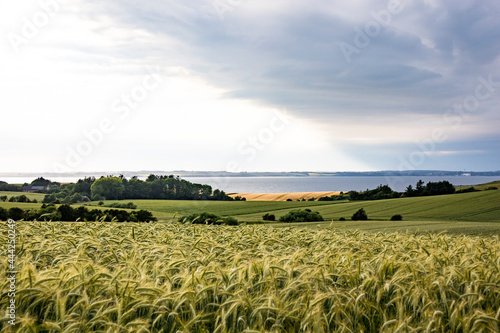 Mors, Denmark Agricultural landscape of the Mors island in central Denmark and the Limfjord. photo