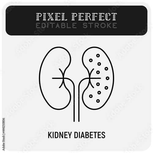 Kidneys diabetes thin line icon. Chronic disease. Pixel perfect, editable stroke. Vector illustration.