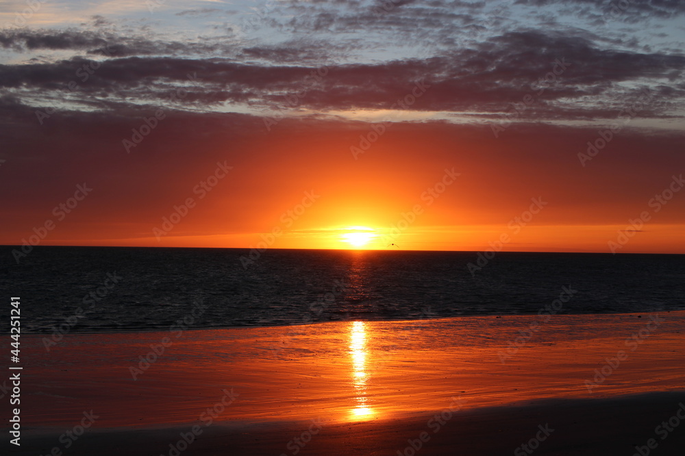A beautiful sunset on the beach of France, looking over the ocean as the sun sets on the horizon. As the seagulls fly past the warm orange light of the sun.