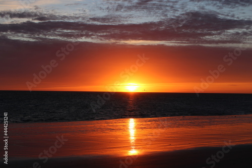 A beautiful sunset on the beach of France  looking over the ocean as the sun sets on the horizon. As the seagulls fly past the warm orange light of the sun.