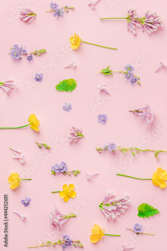 Flowers composition of various colorful flowers on pink background. Flat lay, top view