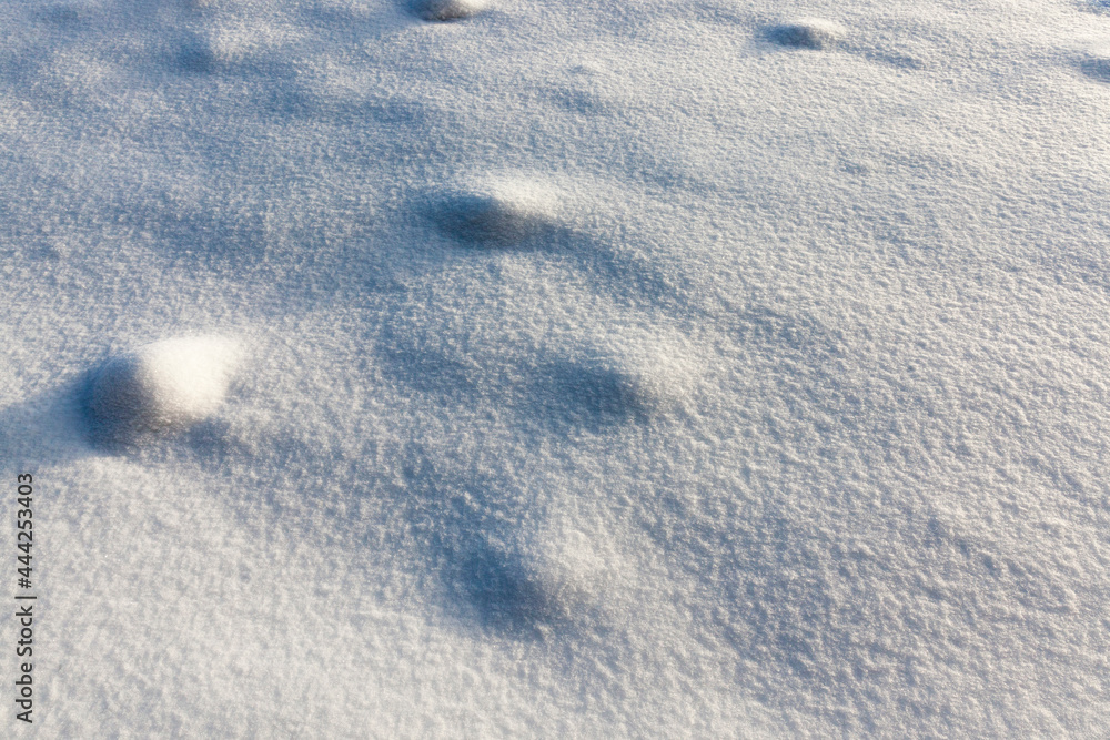 snow drifts in the winter season snow drifts in the winter season