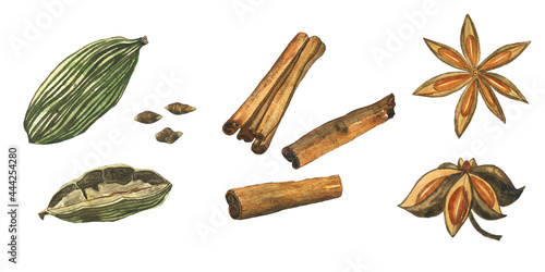 Set of spice cinnamon, anise star, cardamom isolated on white background. Watercolor hand drawing illustration. Perfect for food design, menu. photo