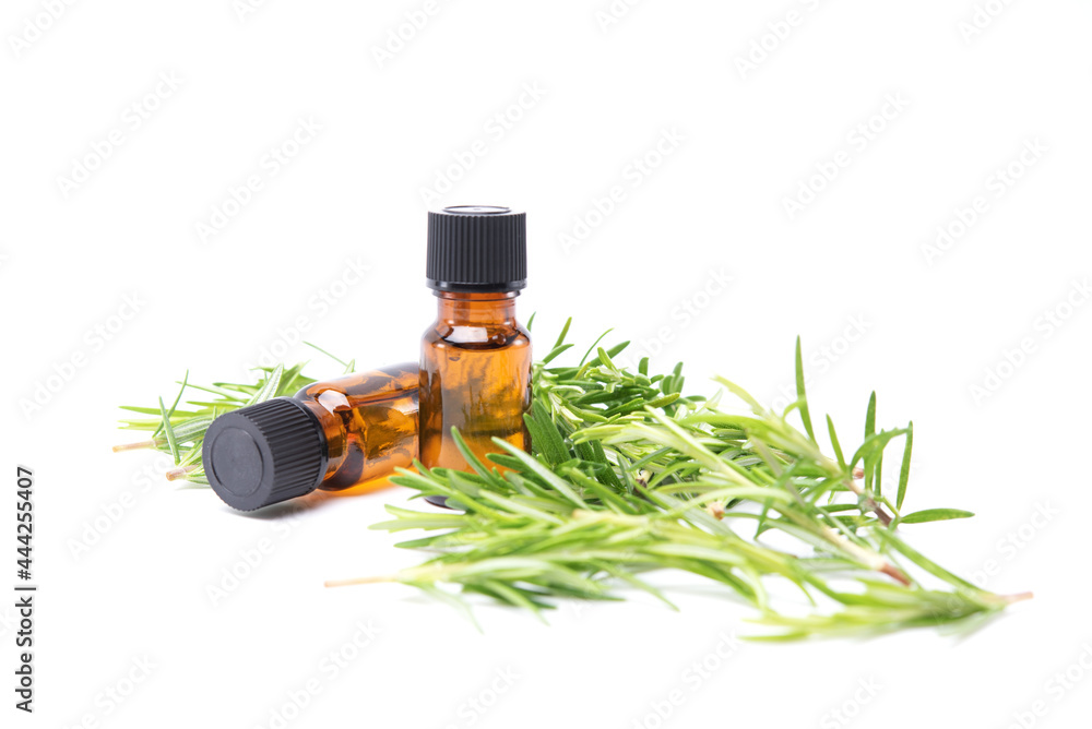 Bottle glass of essential rosemary oil with rosemary branch isolated on white background. Herbal oil concept Bottle glass of essential rosemary oil with rosemary branch isolated on white background. Herbal oil concept