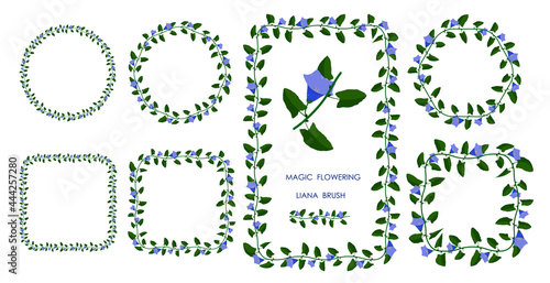 Green liana brush blooming with blue flowers. Realistic brush for decorating frames, invitation cards. Vector