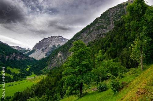 alpin (Vorarlberg, Austria)