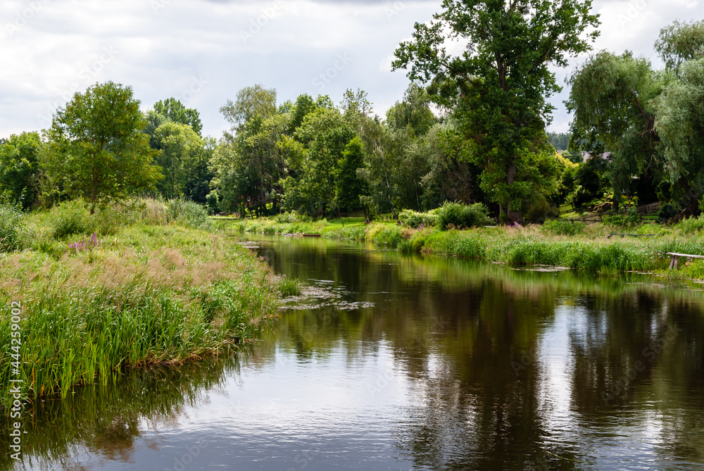 Lato w Dolinie Górnej Narwi, Podlasie, Polska Lato w Dolinie Górnej Narwi, Podlasie, Polska