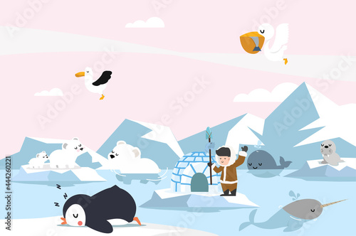animals  North pole Arctic landscape