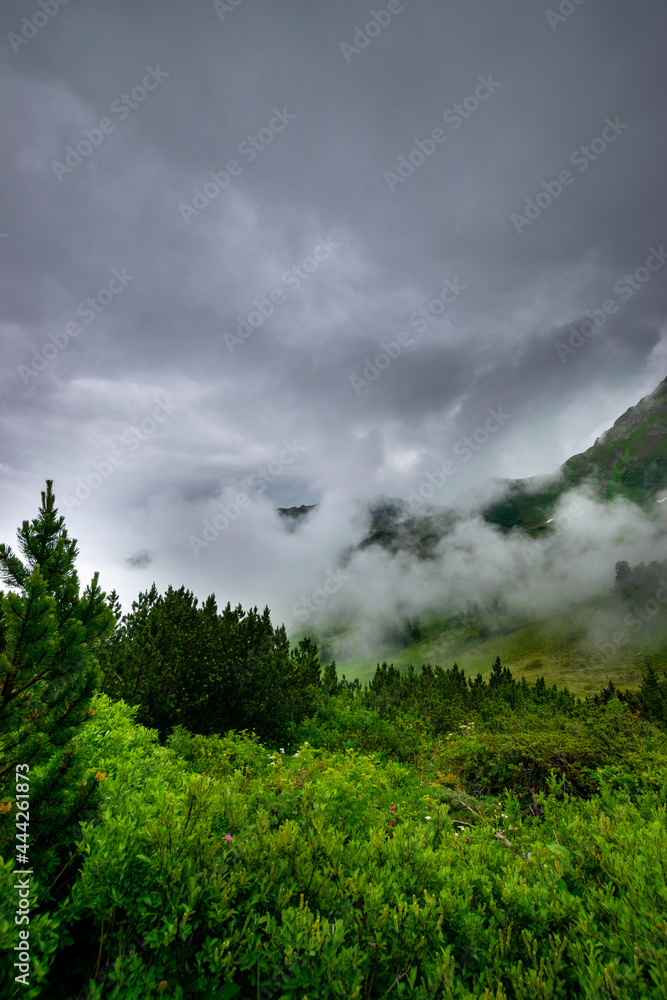 clouds over the forest in the mountains (Vorarlberg, Austria)