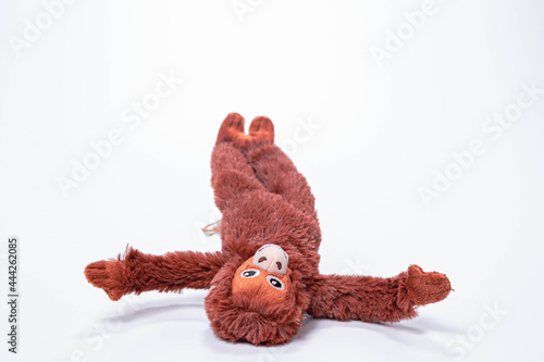 soft toys isolated on white background.