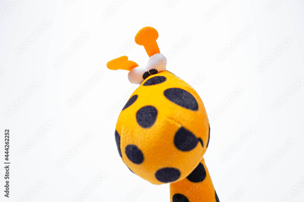 Naklejka premium soft toys isolated on white background.