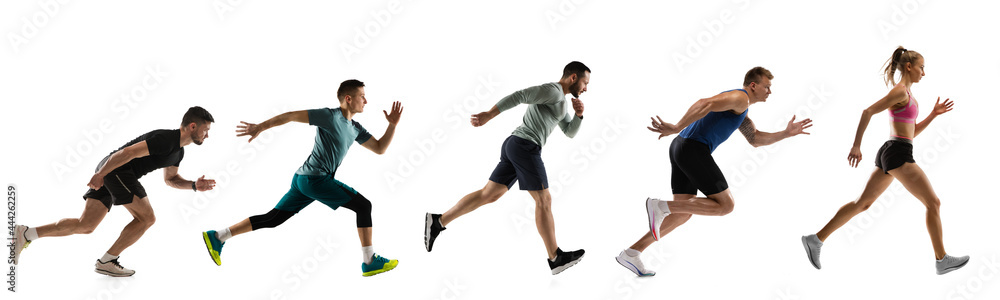 Sport collage. Male and female joggers, runners in action isolated on white studio background. - obrazy, fototapety, plakaty 
