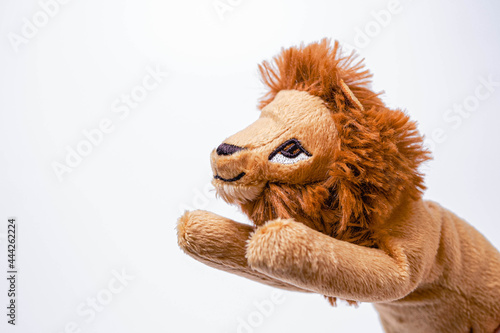 soft toys isolated on white background.