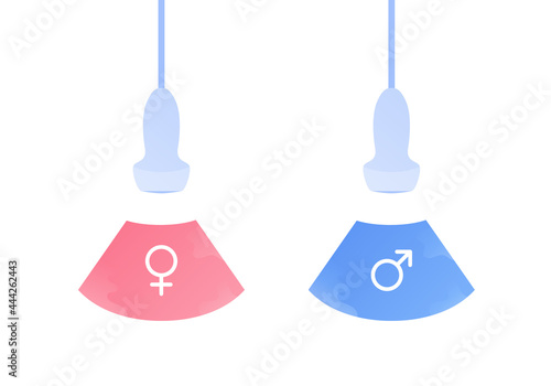 Ultrasound pregnancy diagnostic concept. Vector flat illustration. Ultrasonographer device with ultrasound and boy and girl gender symbol. Design for health care, ultrasonography