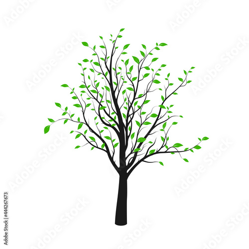 Black tree silhouette with green leaves isolated on white background. Vector